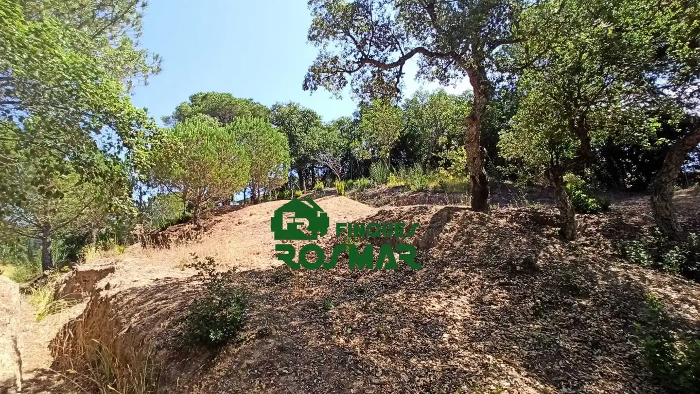 Terrenos y solares en venta en Aiguaviva Parc, imagen 28