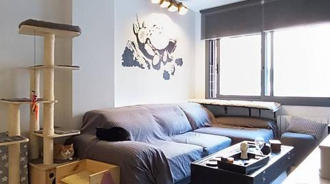 Photo 4 of House or chalet for sale in Melon, Pago San José - Princi - Jerez, Cádiz