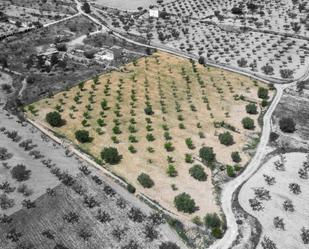 Industrial land for sale in La Romana