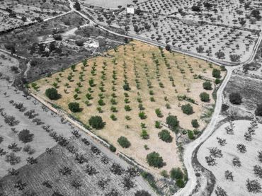 Terreno residenziale in vendita a Polígono 24