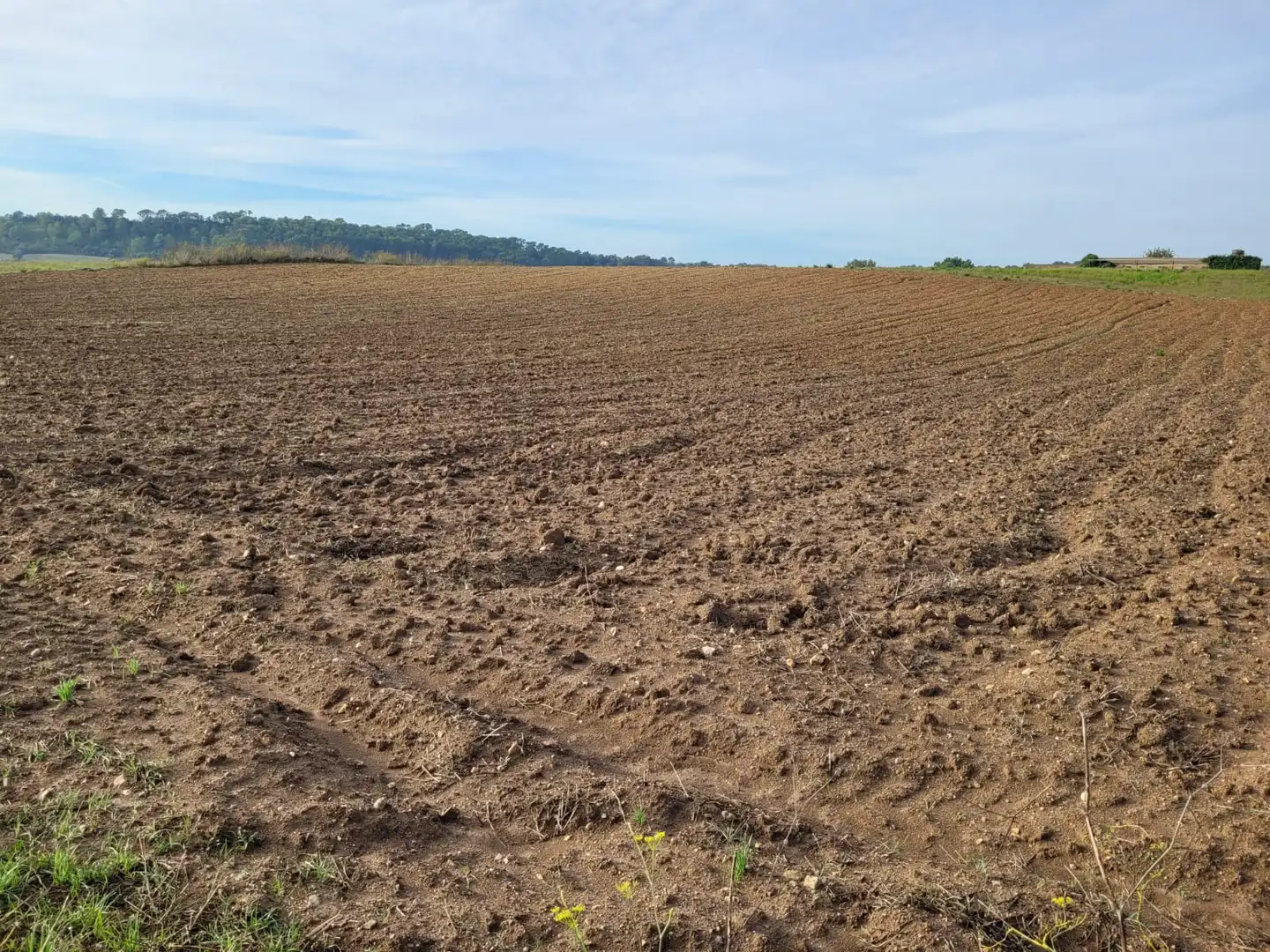 Rural land for sale in Sant Llorenç des Cardassar, imagen 2