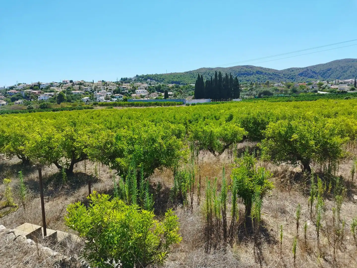 Residential land for sale in Orba, imagen 3