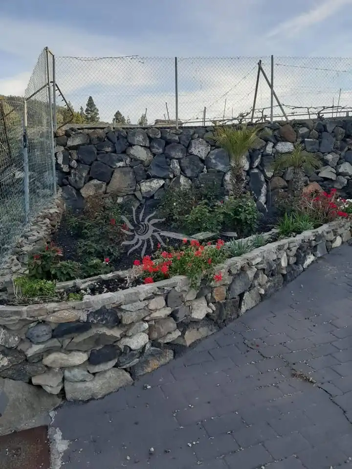 Jardí de Finca rústica en venda en Granadilla de Abona amb Jardí privat i Terrassa