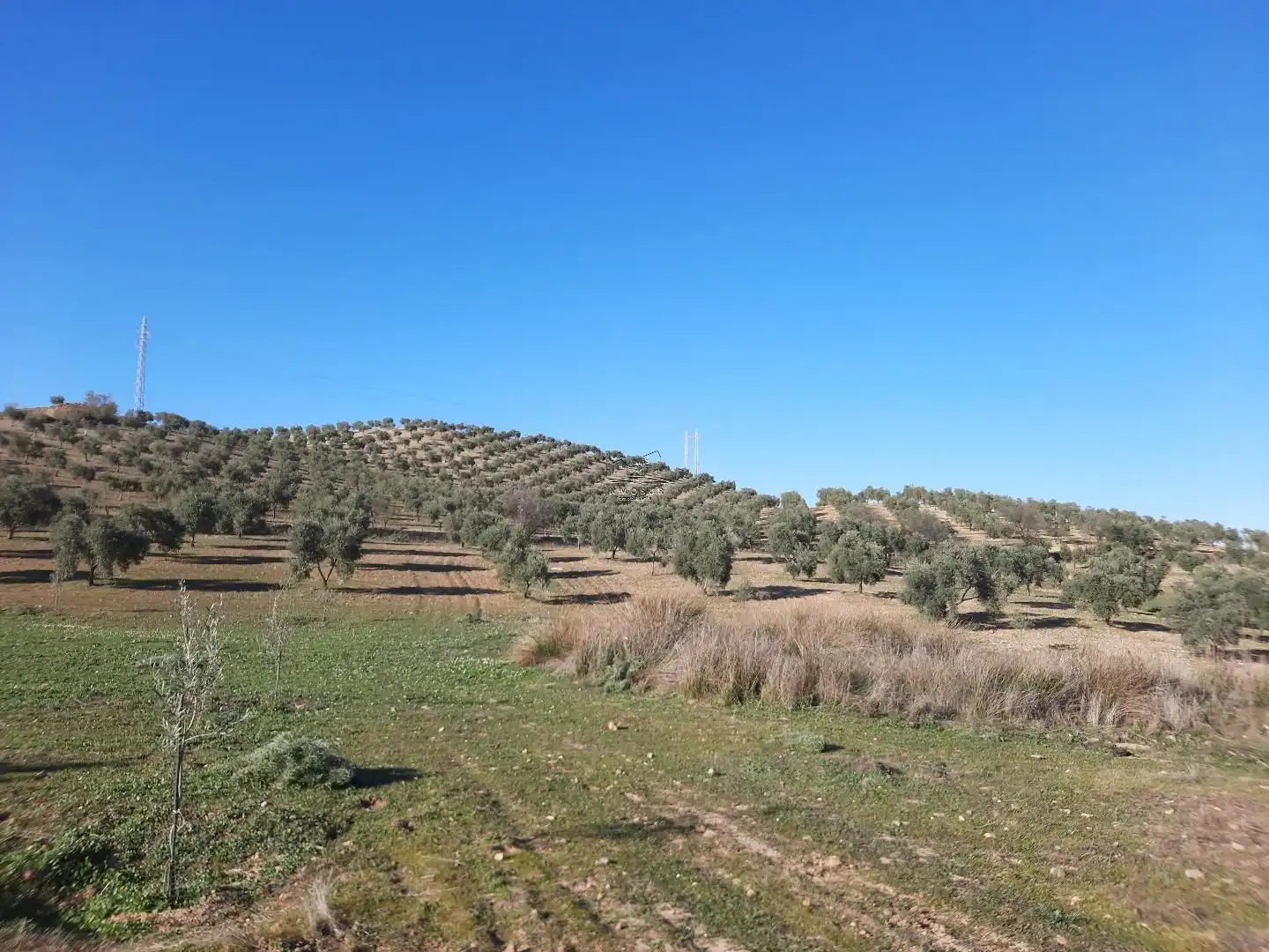 Terreno residencial en venta en Jauja, imagen 2