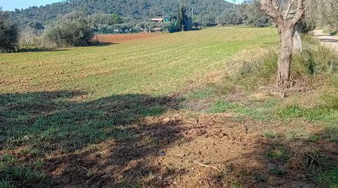 Foto 2 de Terreno en venta en Sant Joan - Vilarromà, Palamós