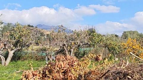 Foto 3 de Finca rústica en venda a Altea ciudad, Altea