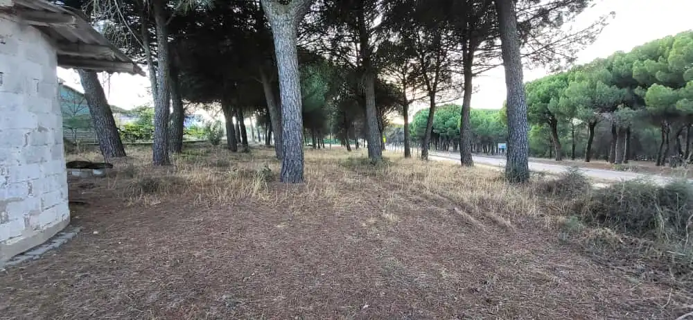 Terreno residenziale in vendita a Calle Calcejos 1, imagen 7