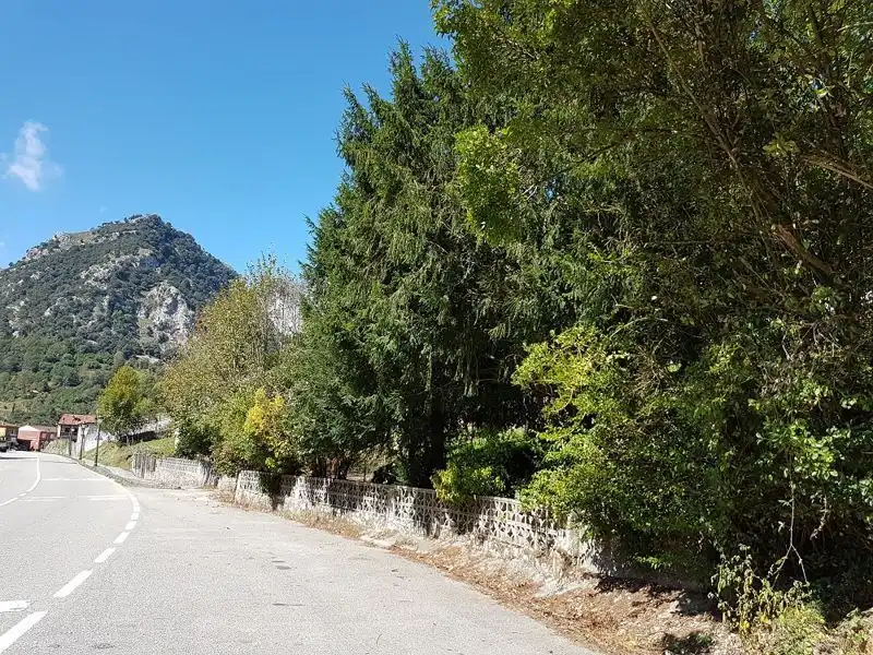Houses for sale in Trescares, Peñamellera Alta