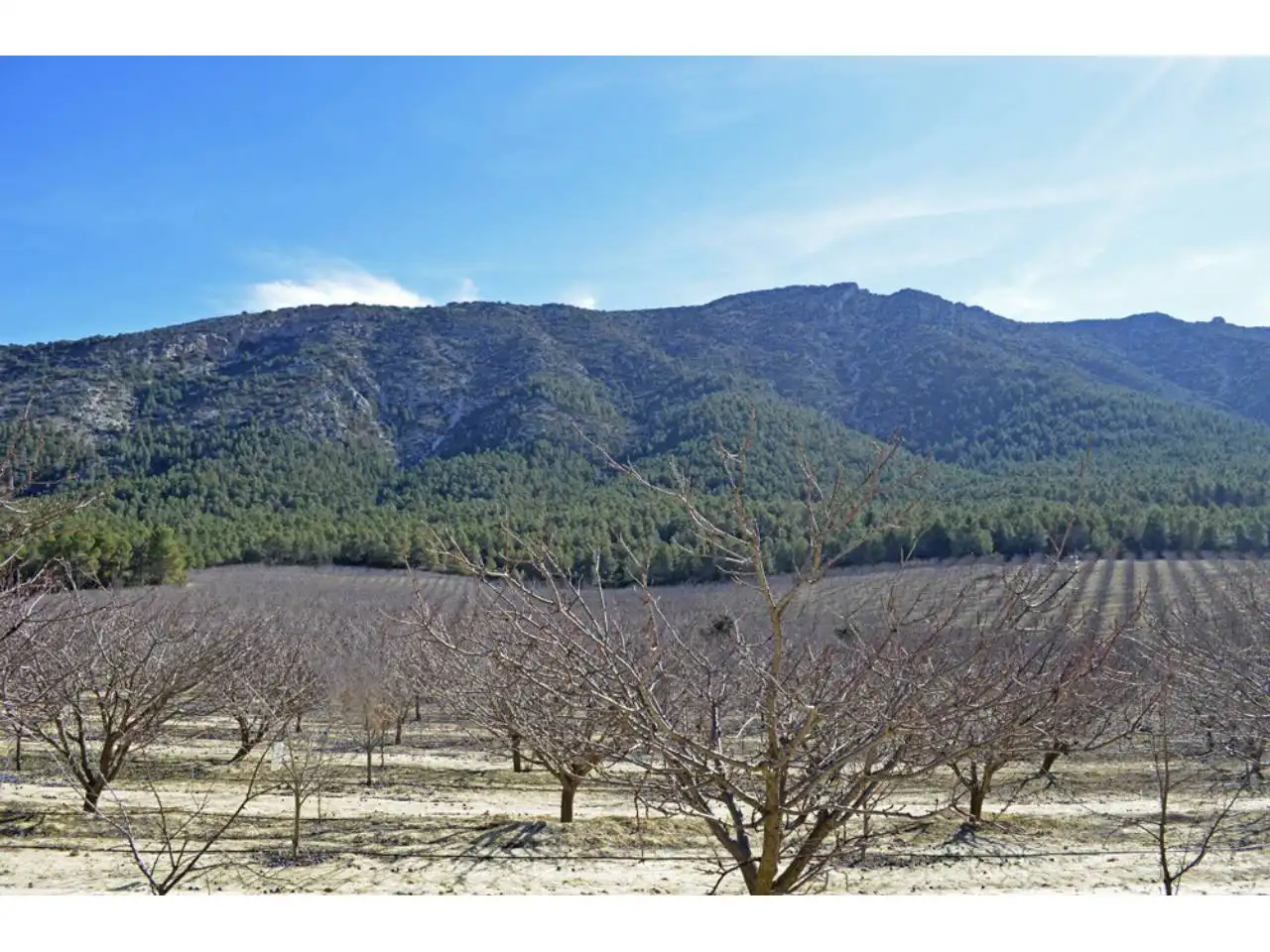 Lands and plots for sale in Pasaje Rincones y Sierra Espuña, imagen 13