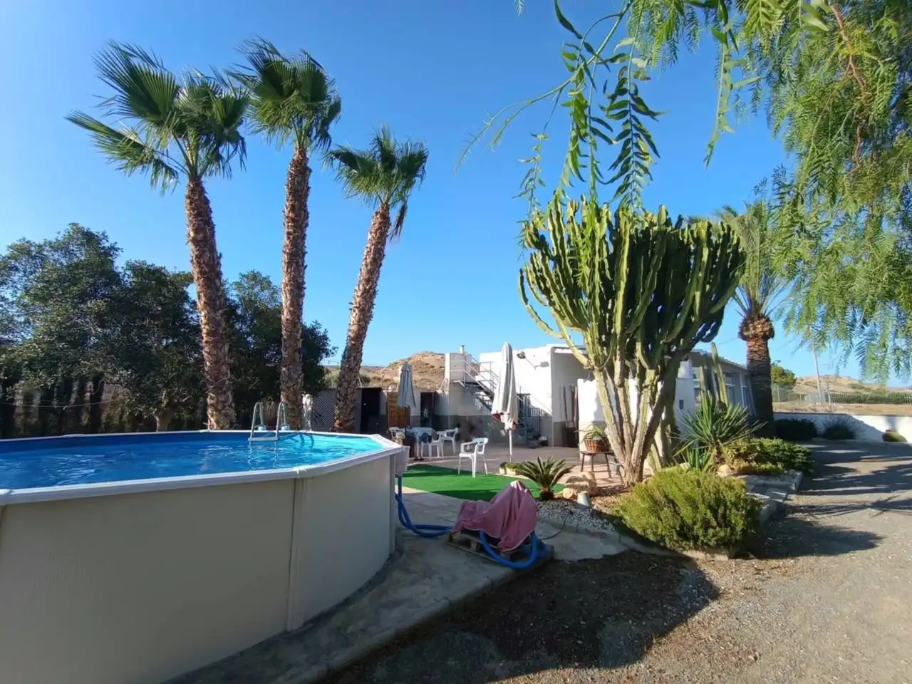 Piscina de Finca rústica en venta en Elche / Elx con Terraza y Amueblado