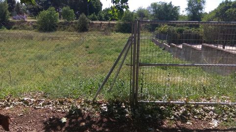 PARCELA DE 550 M2, immagine 3