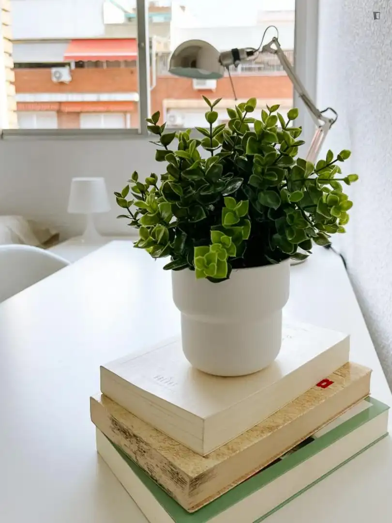 Apartamento de alquiler en Mont-Olivet