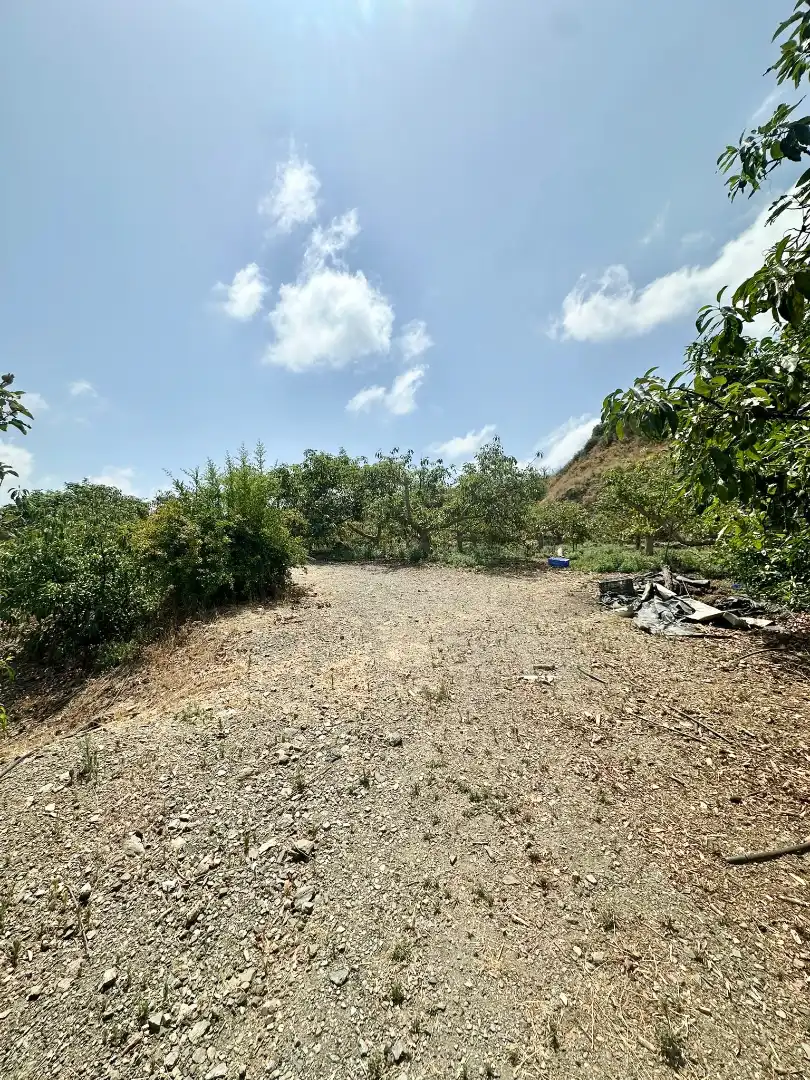 Country homes for sale in Benamocarra  with Private garden, Storage room and Swimming Pool