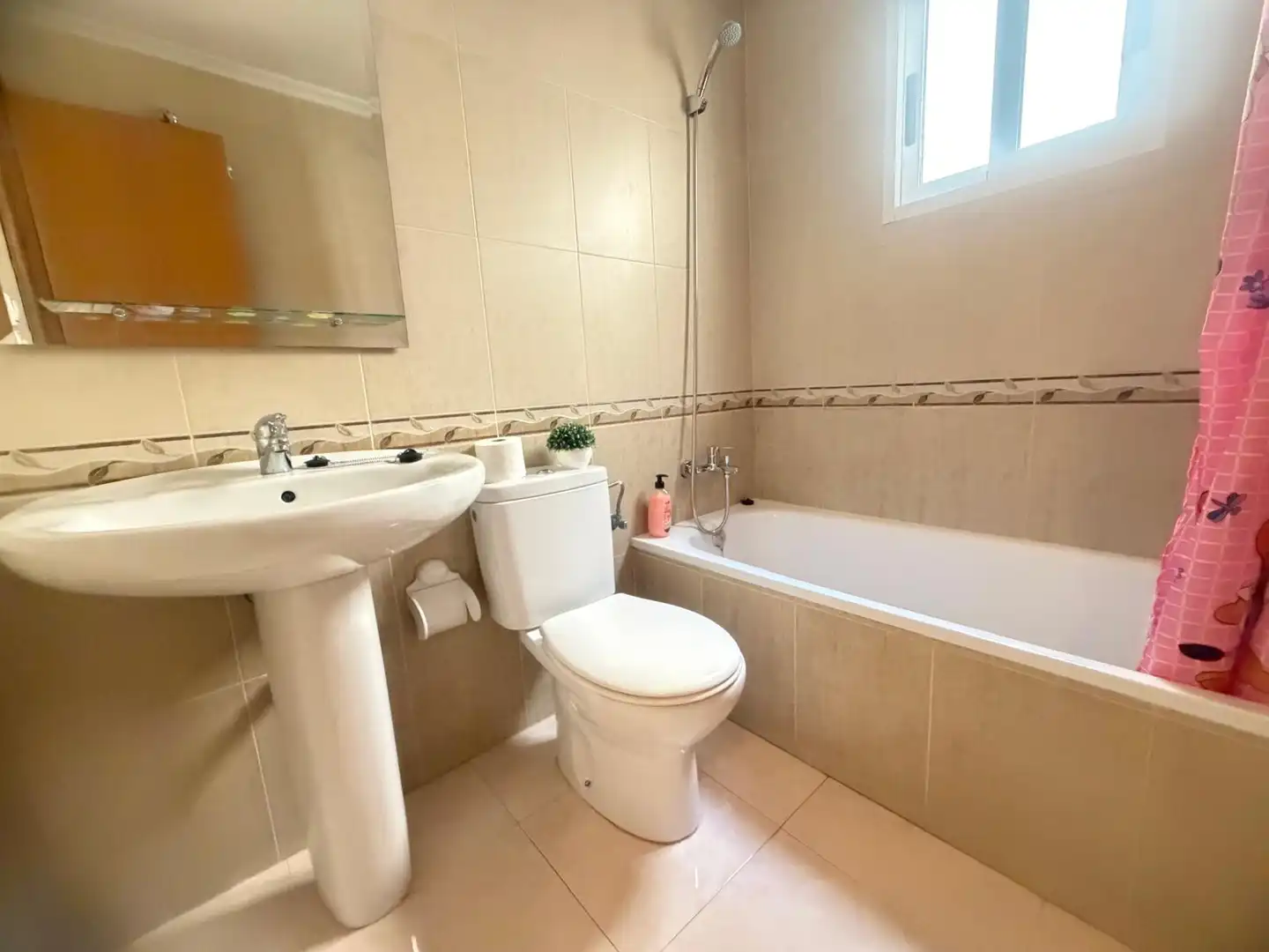 Wohnung zur Miete in Calle Blasco Ibáñez, 19, Dolores