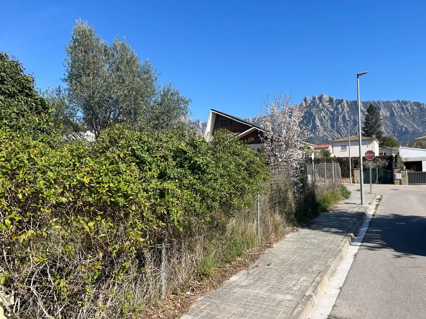 Terreny residencial en venda a Collbató