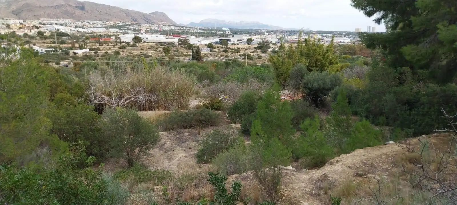 Wohnbaugrundstück zum Verkauf in Platja de Torres, imagen 25