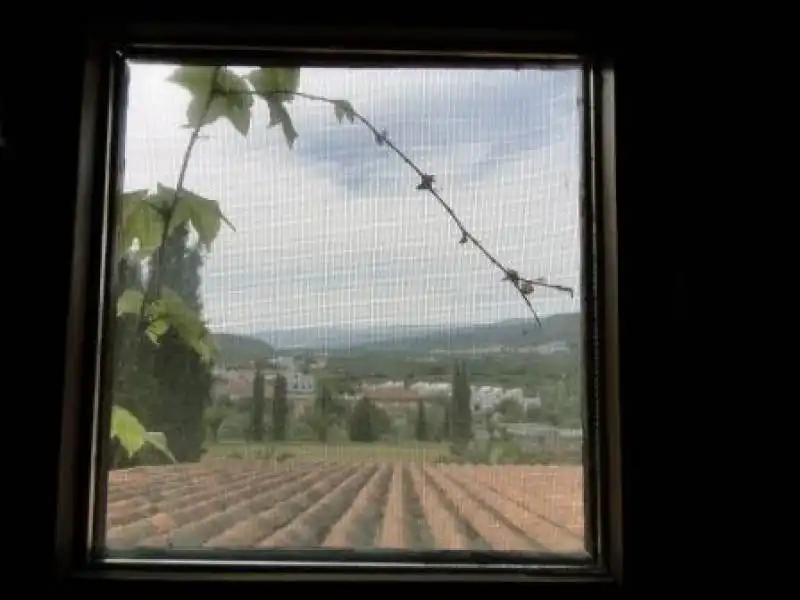 Jardí de Casa o xalet en venda en Fondón amb Aire condicionat i Calefacció