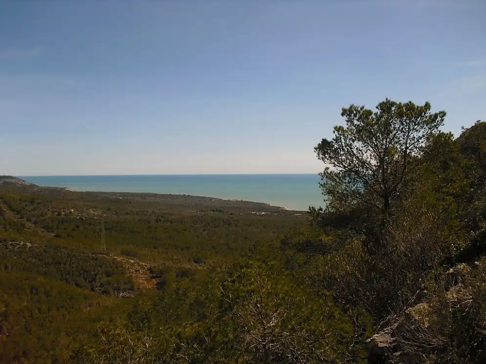 Rural land for sale in C/ Isla Mancolibre, imagen 10