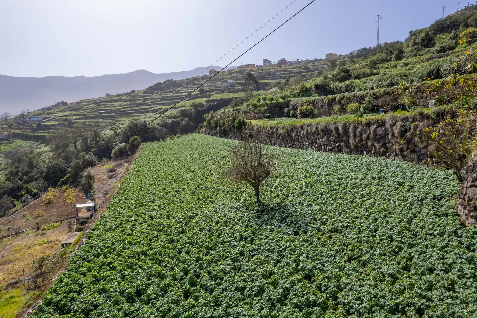 Vista exterior de Casa o chalet en venta en La Orotava con Jardín privado, Terraza y Trastero