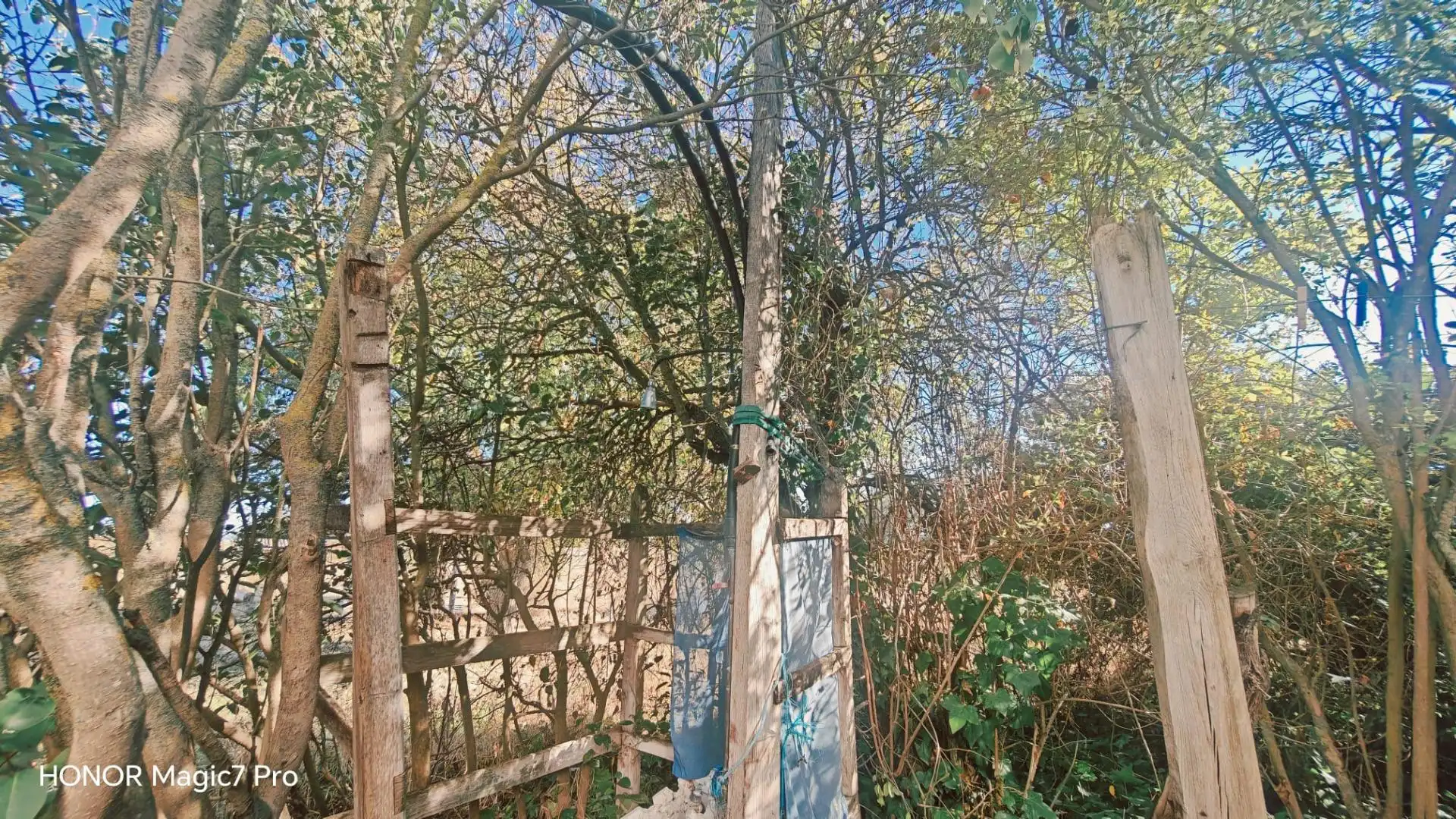 Finca rústica en venda en Urbanización Siglo XXI - Carretera de Villalpando