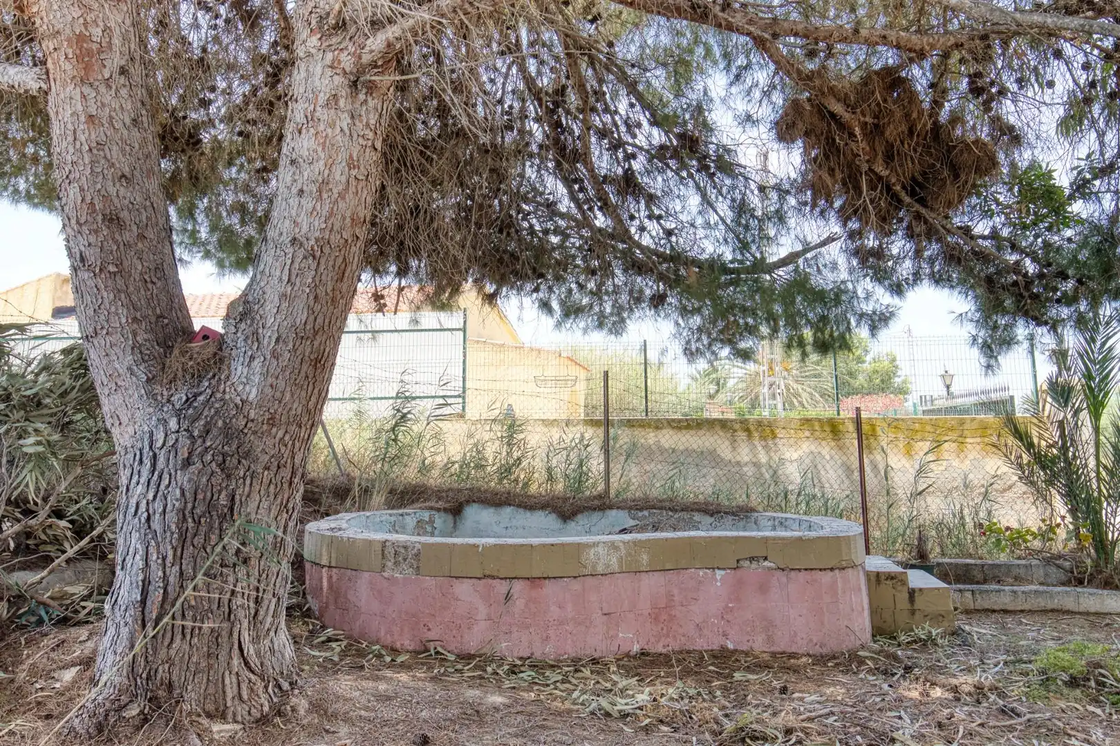 Jardín de Finca rústica en venta en Elche / Elx con Jardín privado, Terraza y Trastero