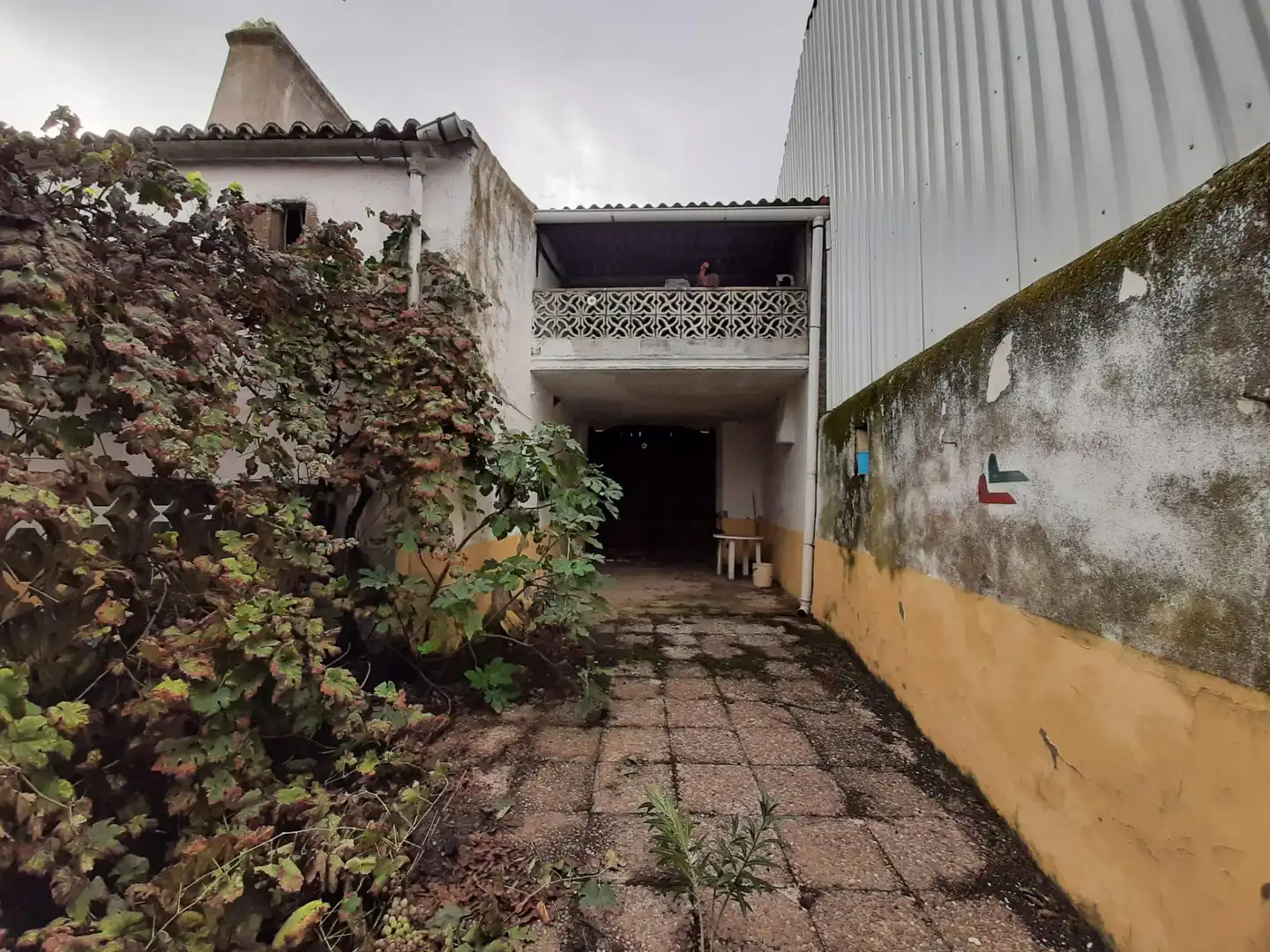 Vista exterior de Casa o xalet en venda en Botija amb Terrassa