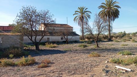 Foto 2 de Finca rústica en venta en Almendricos, Lorca