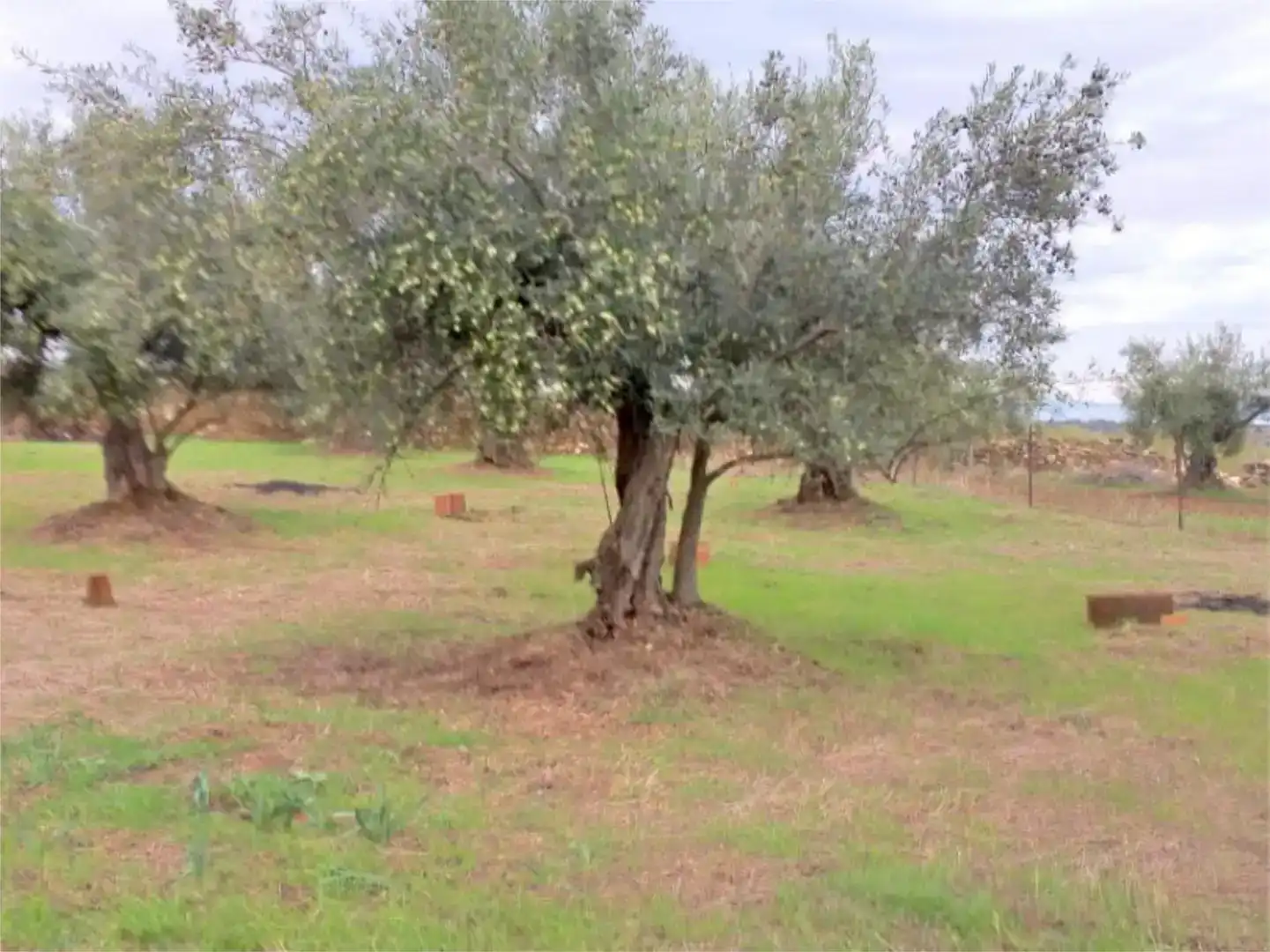 Piso en venta en Aldeanueva de San Bartolomé