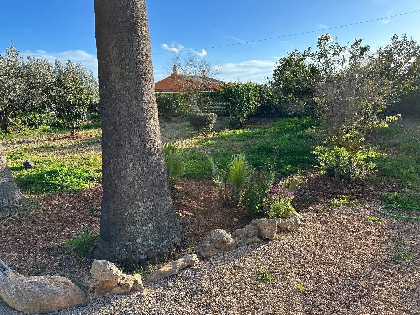 Villa con piscina in vendita a ma 3020, imagen 4