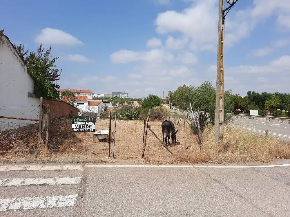 Terreni e lotti in vendita a Calle Hernán Cortés 43