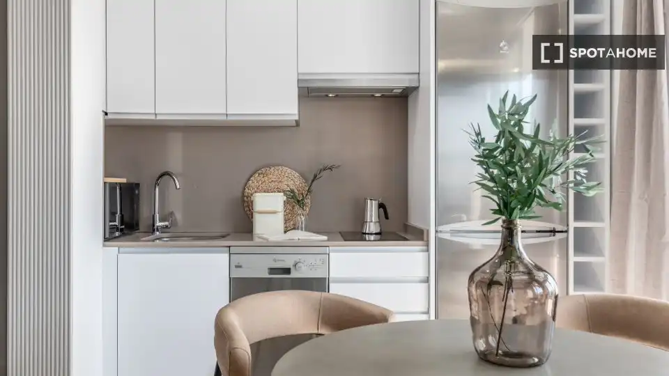 Kitchen of Flat for rent in Madrid  with Air Conditioner, Heating and Furnished