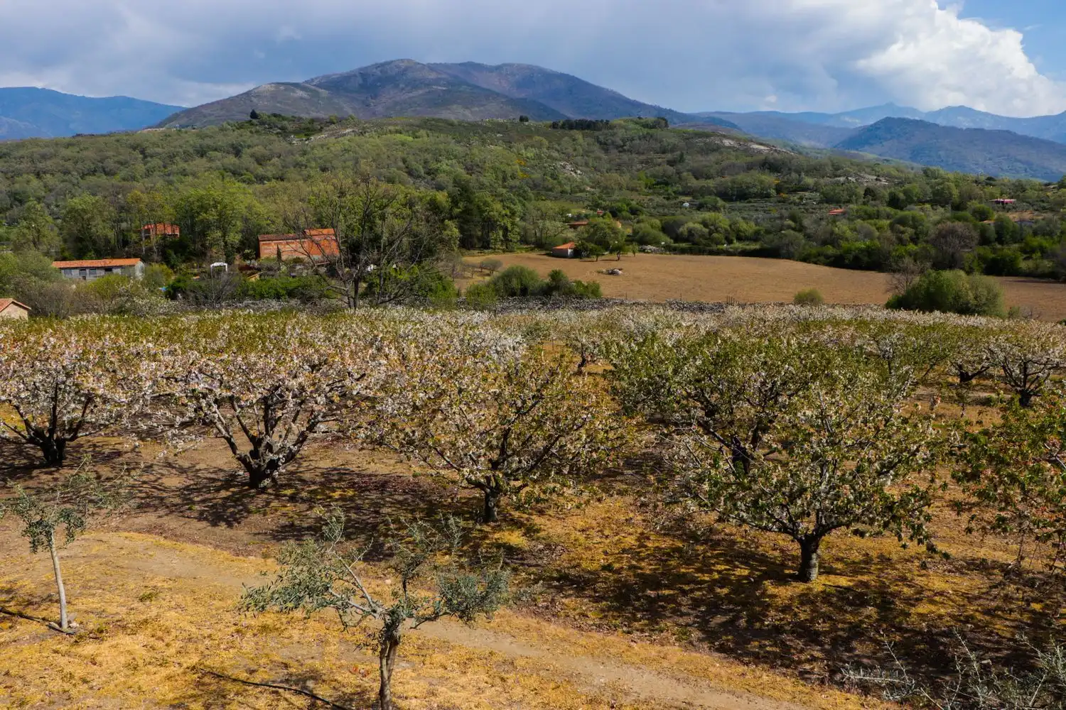 Finca rústica en venda en Jarandilla de la Vera amb Aire condicionat, Calefacció i Jardí privat