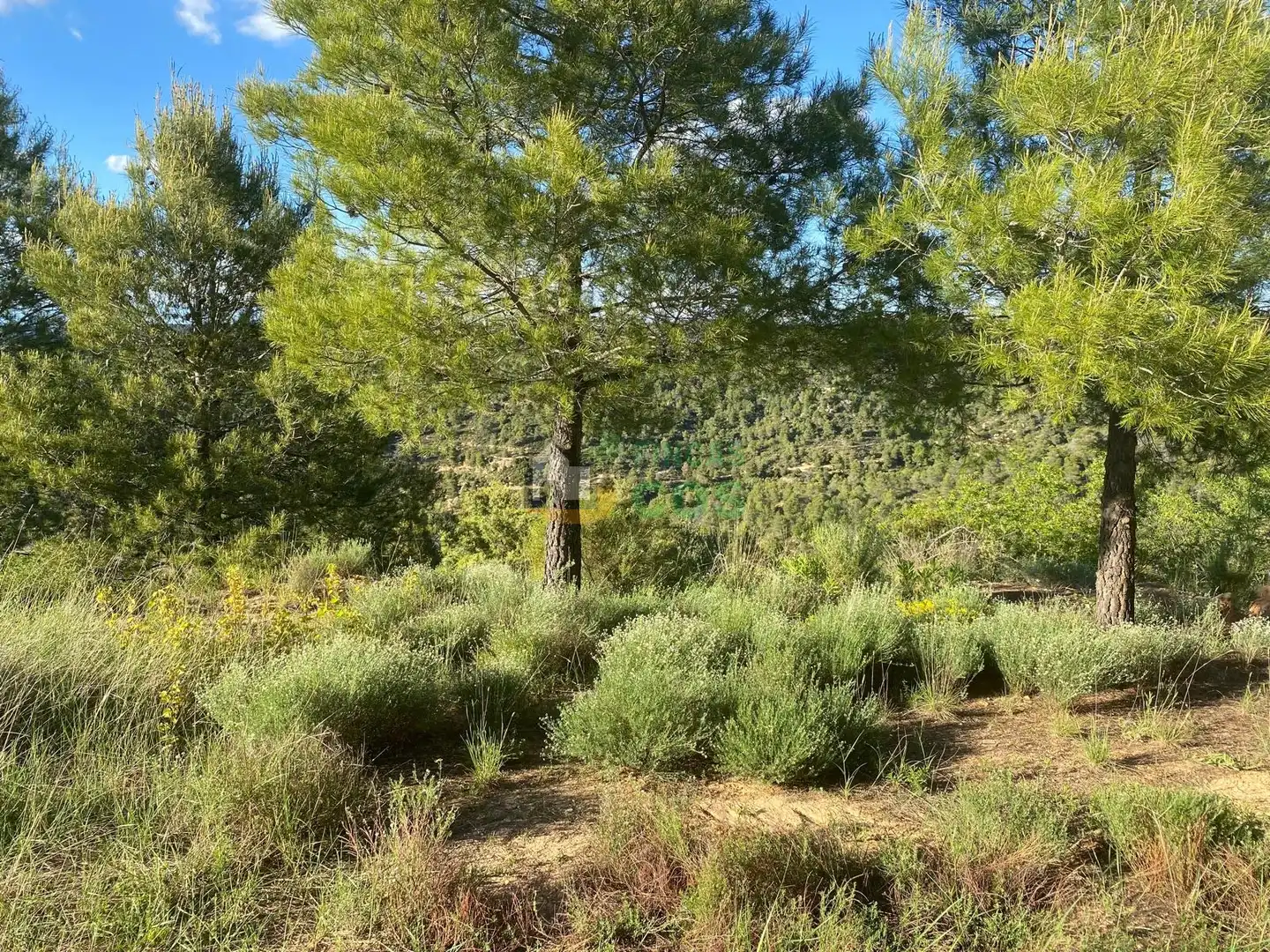 Residencial en venta en La Pobla de Cérvoles