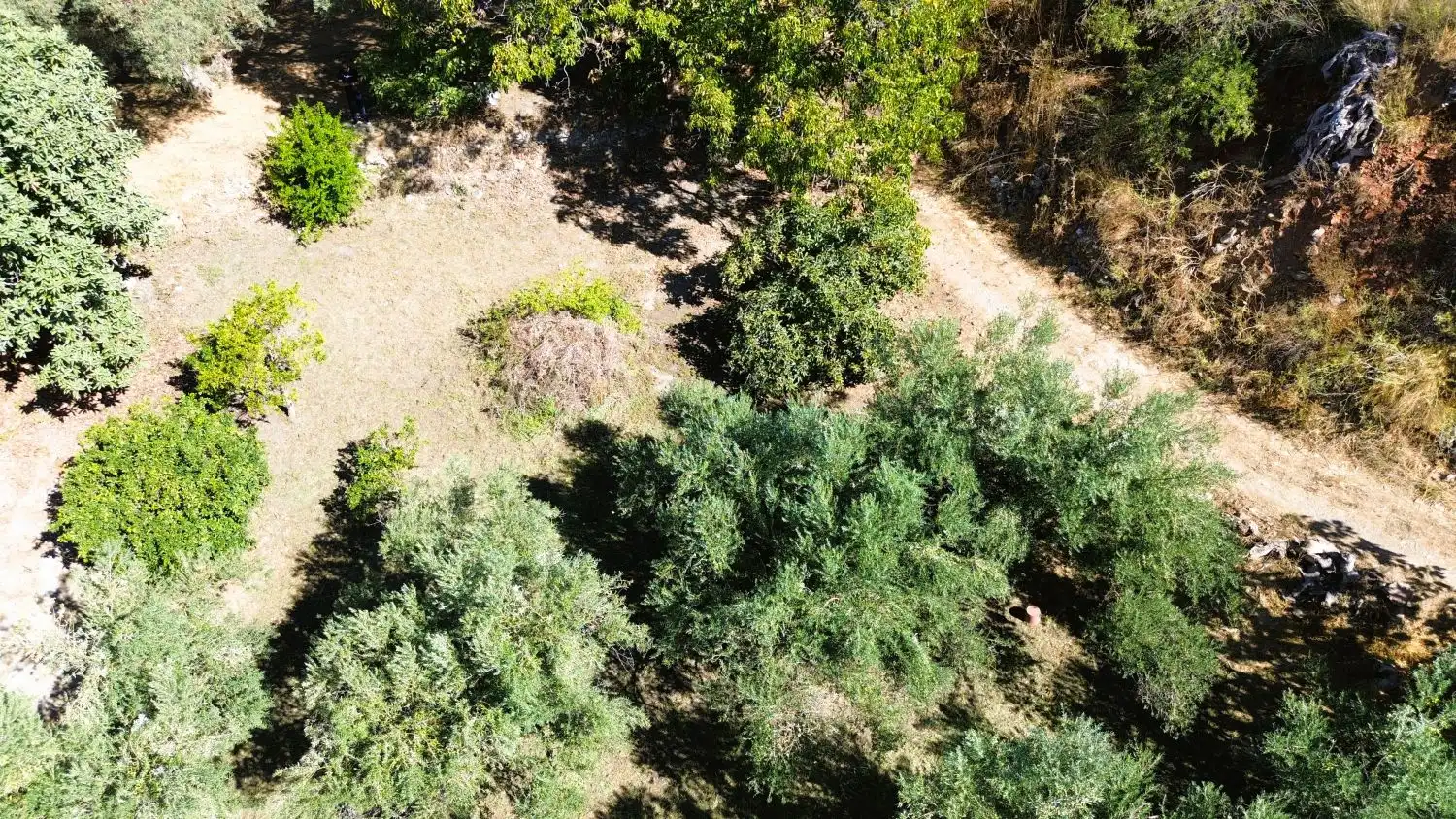 Houses for sale in Órgiva, Granada