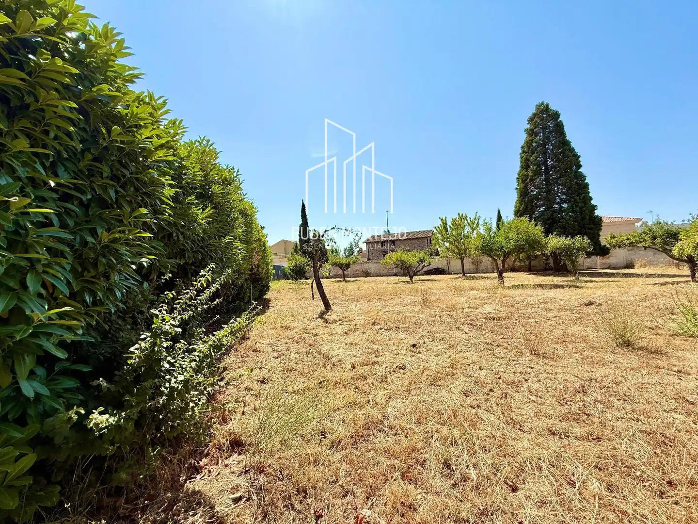 Rural land for sale in Cañaveral, imagen 14