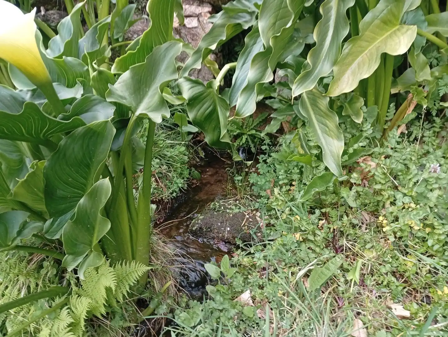 Terreni e lotti in vendita a Valverde de la Vera, imagen 86