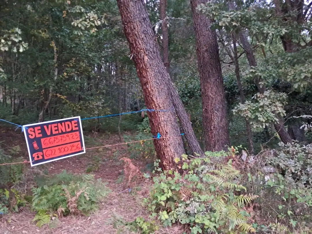 Land for sale in Paderne de Allariz