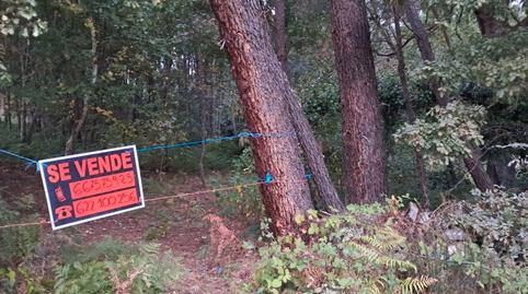 Foto 5 de Terreno en venta en Ou-102, 4, Paderne de Allariz, Ourense