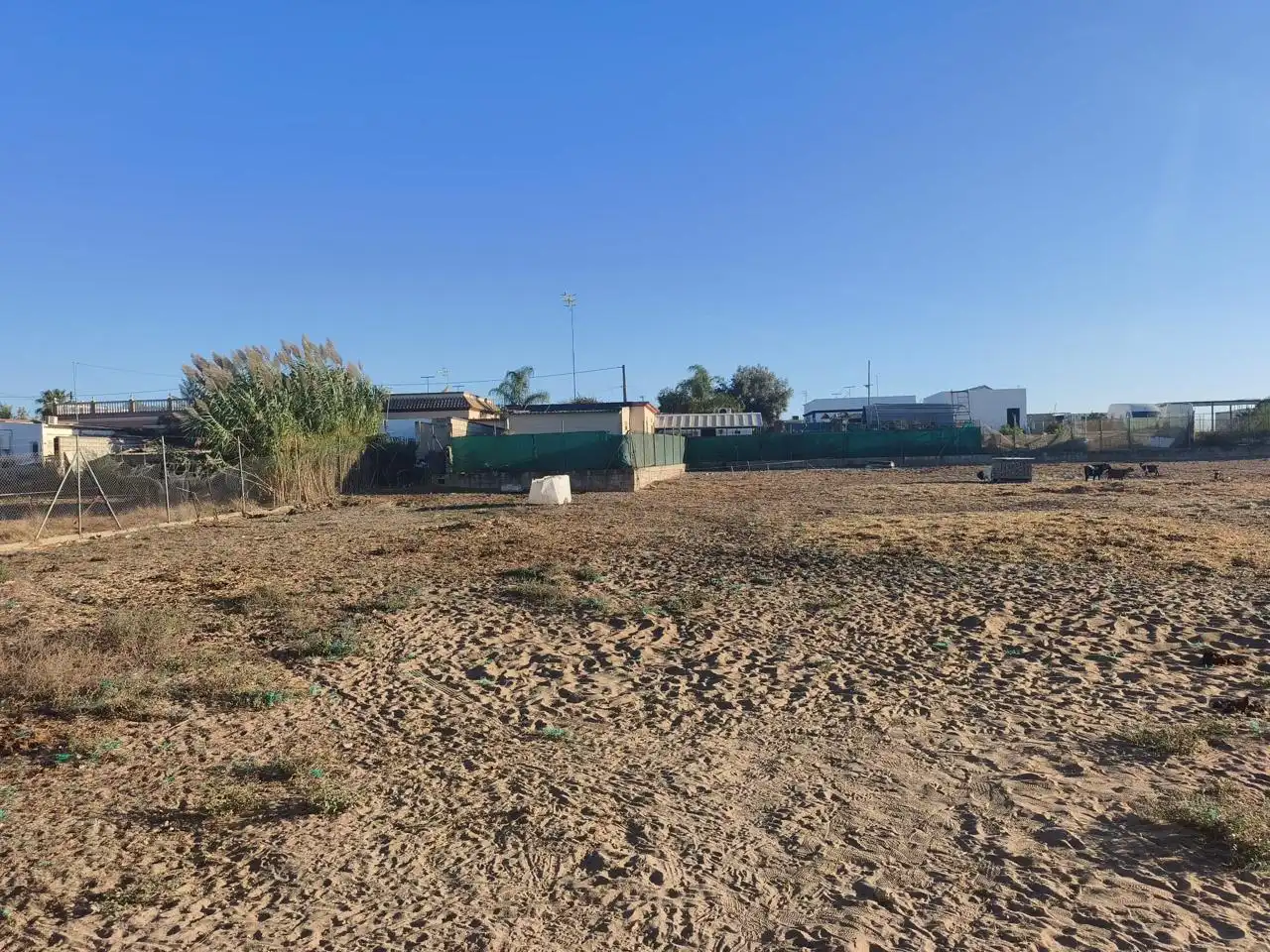 Rural land for sale in Camino de Santo Dios, imagen 2
