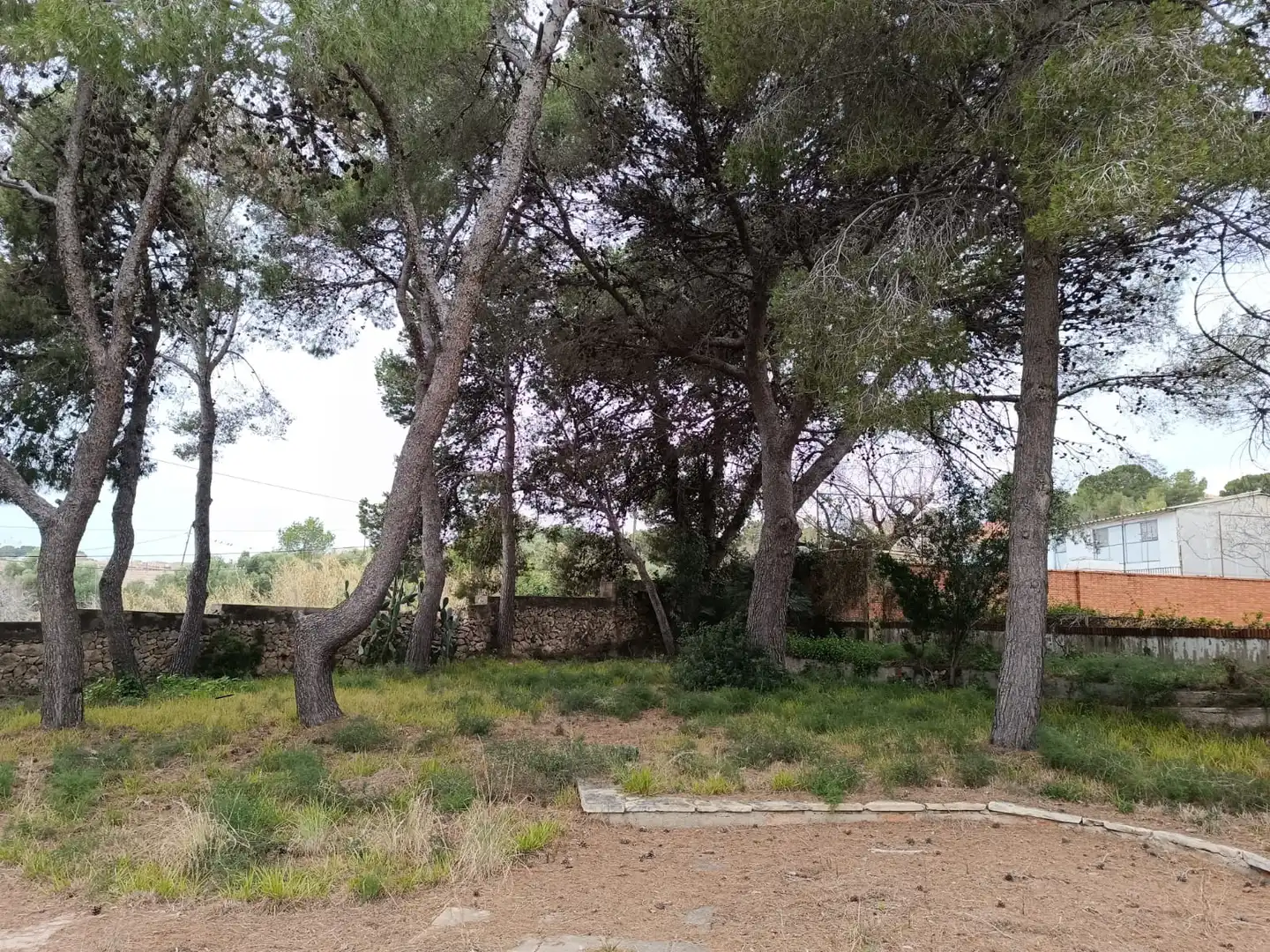 Terreny residencial en venda a Llevant, imagen 11