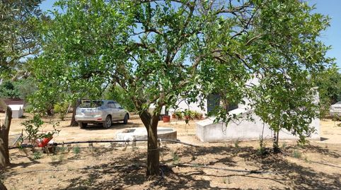 Foto 3 de Finca rústica en venta en Carmona, Sevilla