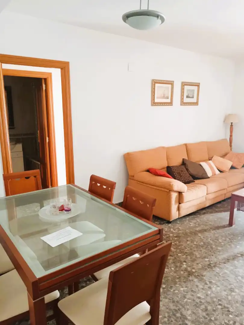 Sala d'estar de Pis en venda en Campanar