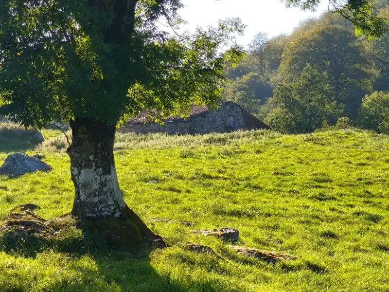 Villa avec jardin à vendre à Rionansa, imagen 14
