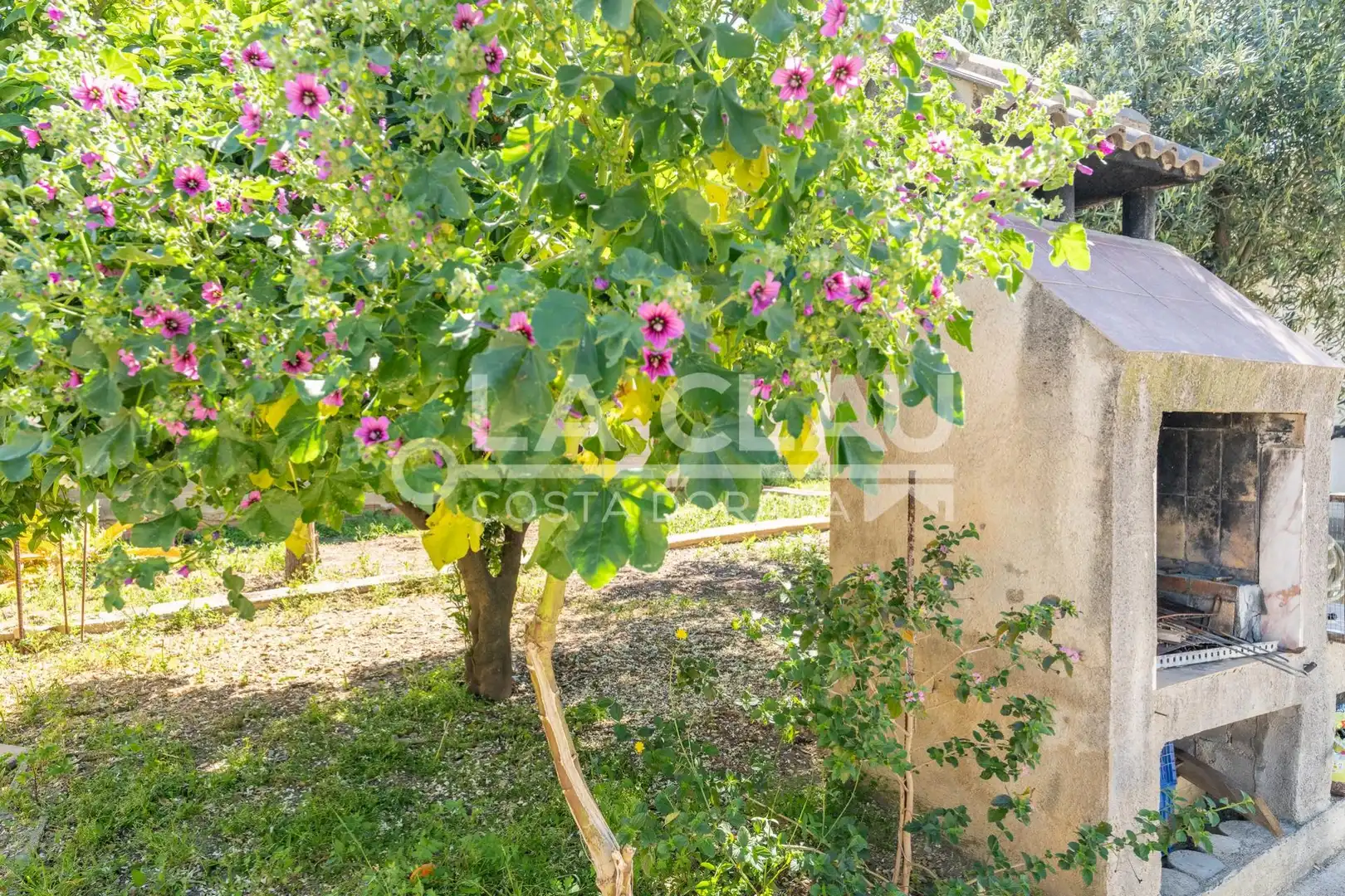 Jardí de Casa o xalet en venda en El Vendrell amb Calefacció, Jardí privat i Terrassa