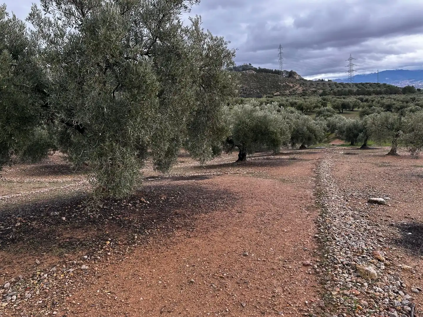 Terreni e lotti in vendita a Atarfe, imagen 15