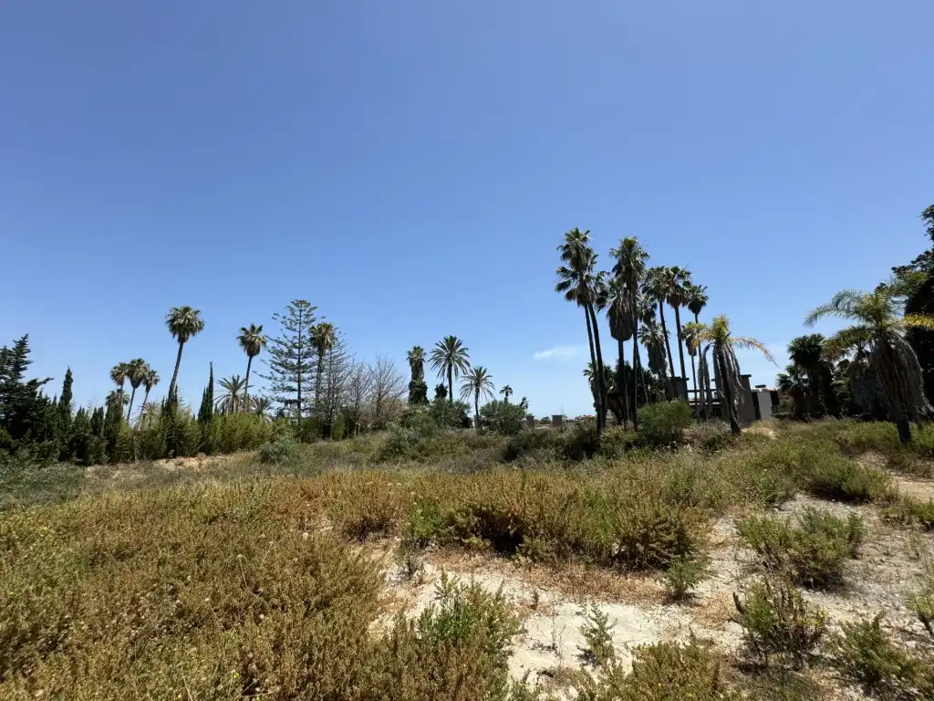 Terreny rústic en venda a Nueva Andalucía, imagen 9