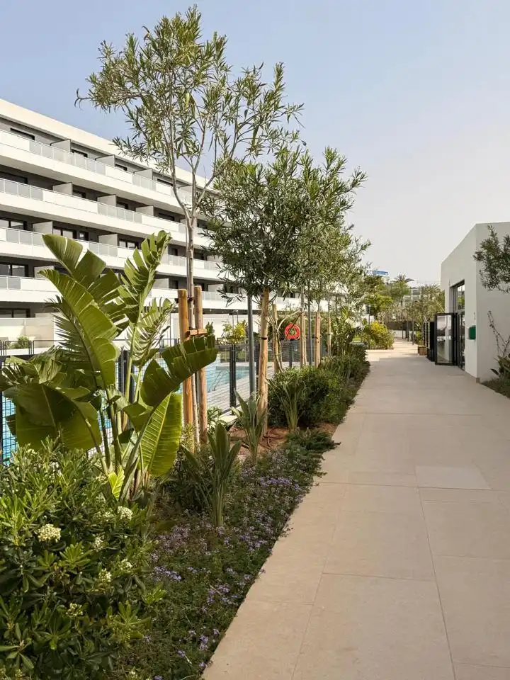 Terrassa de Planta baixa de lloguer en Eivissa amb Aire condicionat, Terrassa i Moblat