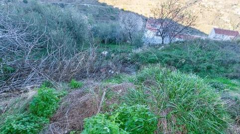 Foto 2 de Casa adosada en venta en Sayalonga, Málaga