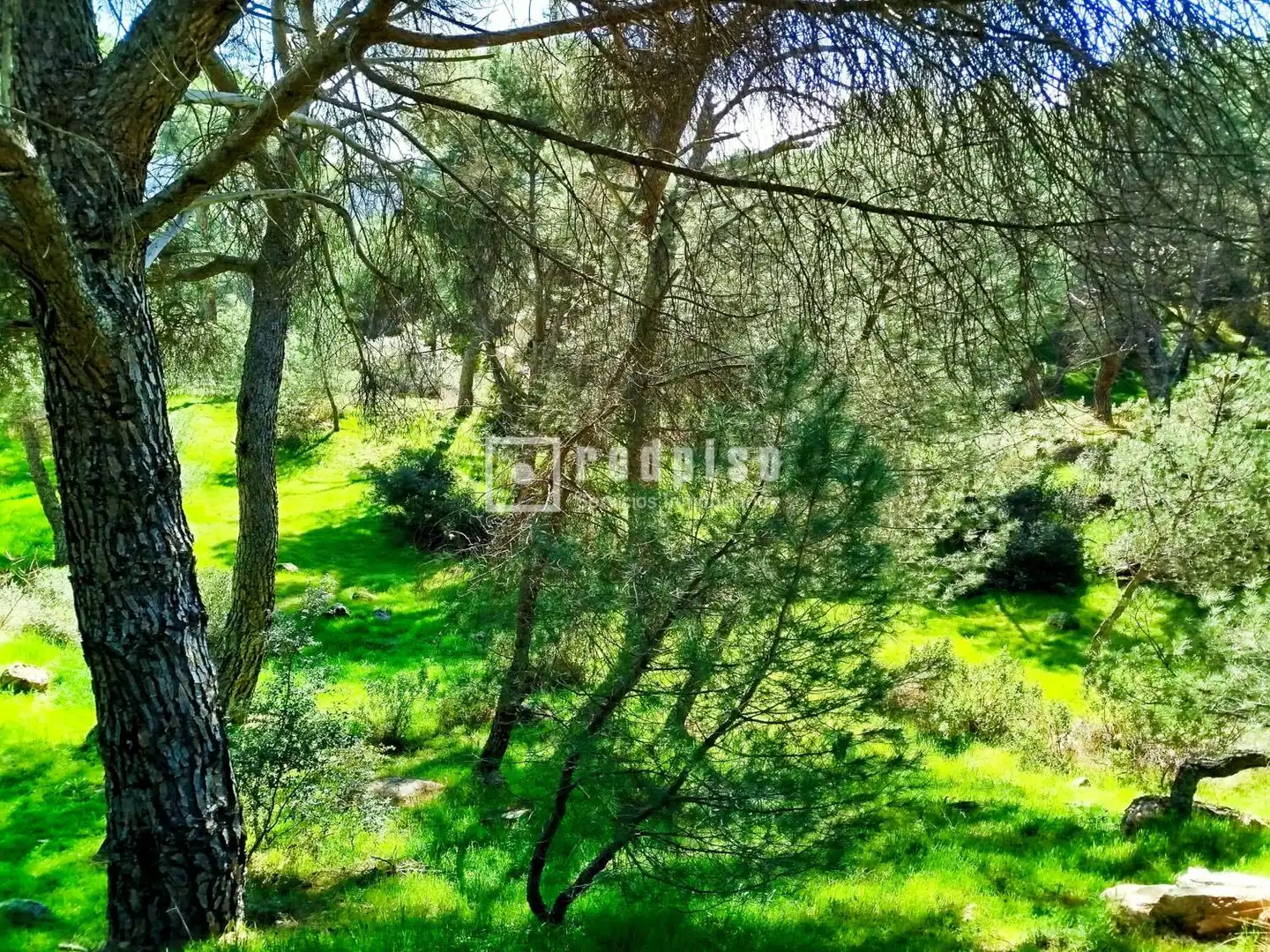 Residencial en venta en San Martín de Valdeiglesias