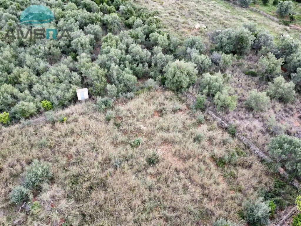 Rural land for sale in Pego, imagen 6